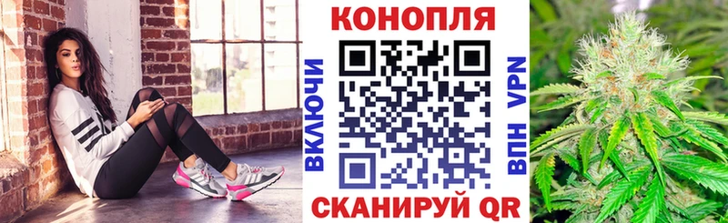 Канабис ГИДРОПОН  где можно купить наркотик  Истра 